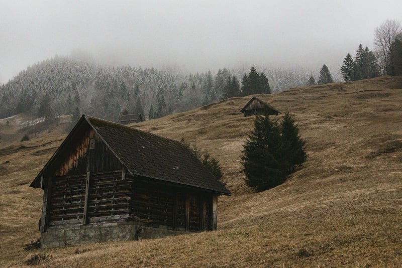 Forest Cabin