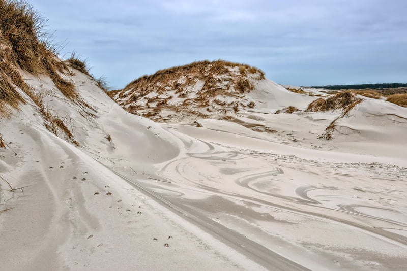 White Sands, New Mexico